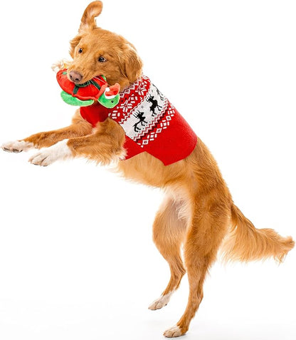 Dog Toys | Winter Plush Toy Turtle Stuffed Animal for Dogs | Medium Eco Friendly Toy - Easy to Clean and Made from Non Toxic Materials