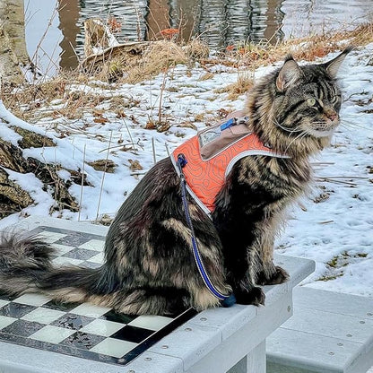 Travel CAT The Pathfinder Cat Harness with GPS Tracker Pocket - Powered by Tractive Cat Harness Escape Proof - Walking Escape Proof Harness for Small, Large Cat, Kitten (Orange, Small)