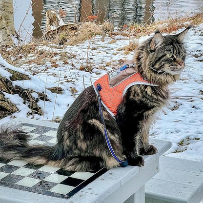 Travel CAT The Pathfinder Cat Harness with GPS Tracker Pocket - Powered by Tractive Cat Harness Escape Proof - Walking Escape Proof Harness for Small, Large Cat, Kitten (Orange, Large)