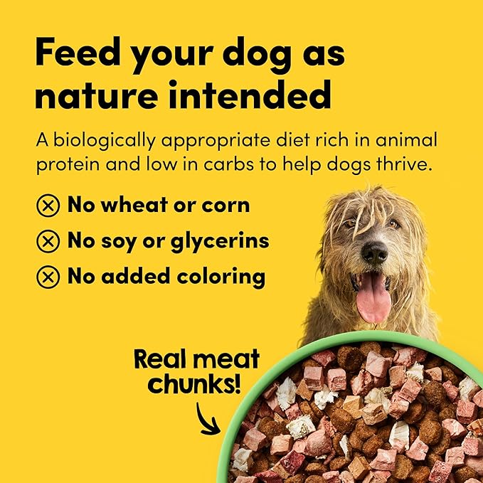 Raw Freeze Dried Dog Food RawMix50 Premium Grass-Fed Lamb Recipe, Protein Rich, Includes Kibble, Non-GMO, No Wheat or Corn, 4 lbs