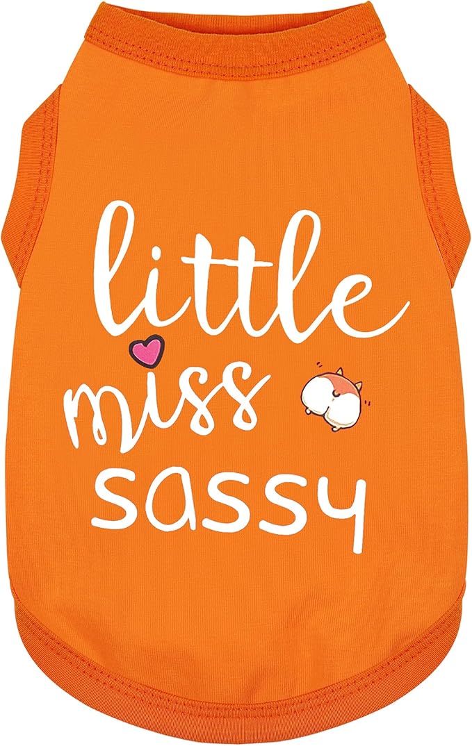 Paiaite Dog Clothes Fashionable Sleeveless Pet Vest: 'Little Miss Sassy' Printed Cotton Dog Shirt, Ideal for Small, Medium, and Large Breeds, Ensuring Comfort and Breathability Orange S
