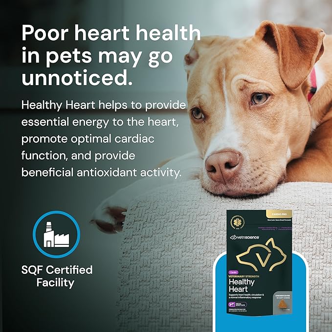 VETRISCIENCE Veterinary Strength Healthy Heart Chews - Heart & Energy Supplement for Pets - Cardiovascular Supplement - Pet Blood Flow Support - Chicken Flavor - 60 Count