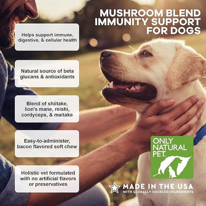 Only Natural Pet Mushroom Blend Immune System Support Supplement for Dogs - Boost Healthy Cellular, Digestive, & Liver Function - Multivitamin Beta-Glucan & Antioxidant - Bacon Flavor 60 Soft Chews