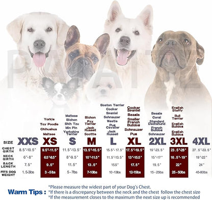 Paiaite Blue Chihuahua Dog Hoodie: Keep Your Pup Warm and Stylish with a 'The Dog Face' Printed Sweatshirt Pet Clothes, and Sweater Coat All in One Perfect for Winter and Cool Summer Nights! Blue XL