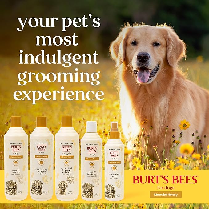 Burt’s Bees for Pets Itch Shampoo with Manuka Honey and Chamomile for Dogs, Itch Relief for Dogs - Naturally Derived Ingredients, 16 Fl Oz