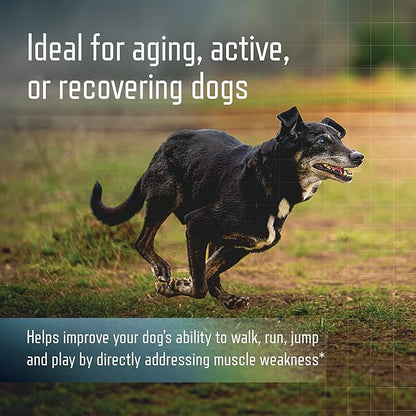 Virbac URSOLYX™ Soft Chews for Dogs | Muscle Health Support for Senior, Active or Recovering Dogs, Small up to 30lbs | 60 Count 2- Month Supply