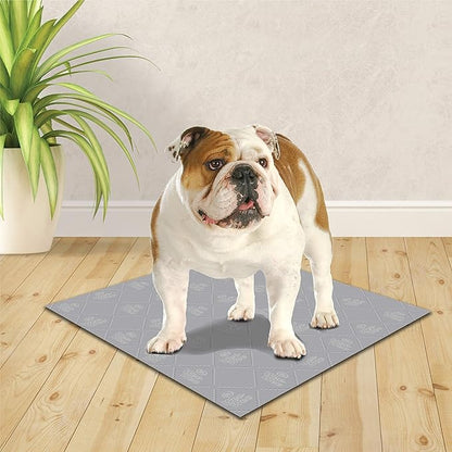 Four Paws Wee-Wee Premium Patch Reusable Pee Pad for Dogs, Premium Patch (Washable Pad) 24.5" x 25.7" (1 Count)