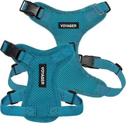 Voyager Step-in Pet Harness - All Weather Mesh, Adjustable Step in Harness for Cats and Dogs by Best Pet Supplies - Turquoise, L