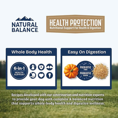 Natural Balance Health Protection Dry Dog Food – Whole Body Health, Easy on Digestion Dog Food Made with Salmon, Brown Rice & Pumpkin for Dogs - 4lbs.