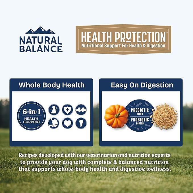 Natural Balance Health Protection Small Breed Dry Dog Food – Whole Body Health, Easy on Digestion Dog Food Made with Chicken, Brown Rice & Pumpkin for Dogs - 12lbs.