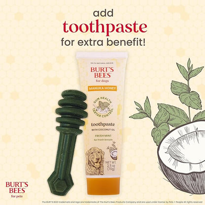 BURT'S BEES FOR PETS Dental Treats for Dogs with Manuka Honey & Ginger, Holistic, Plant-Based Oral Care, 98% Natural Origin Formulas, Peppermint Flavor, Dog Treats Small Dogs, Sz Md/Lg 10ct, 7.7 oz