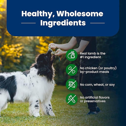 Blue Buffalo Life Protection Formula Adult Dry Dog Food, Helps Build and Maintain Strong Muscles, Made with Natural Ingredients, Lamb & Brown Rice Recipe, 24-lb. Bag