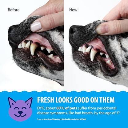 Dental Fresh Water Additive for Dogs and Cats, Clean Teeth and Fresh Breath, Daily Pet Oral Care Just Add to Water, Flavorless, 8 fl oz
