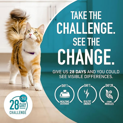 Purina ONE Natural, Low Fat, Weight Control, Indoor Dry Cat Food, +Plus Indoor Advantage - 16 lb. Bag