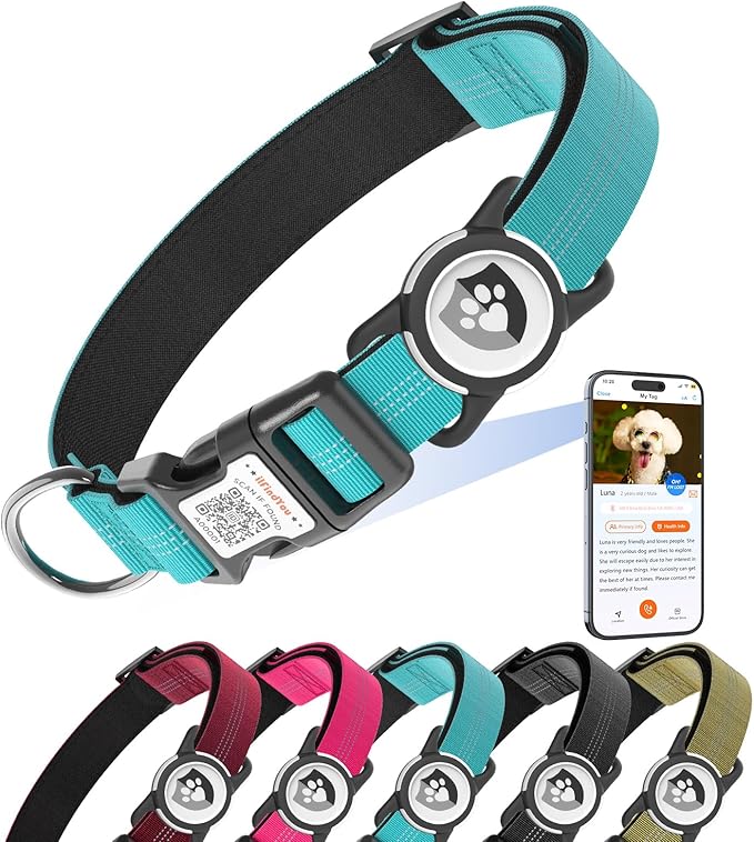 Reflective Dog Collar with AirTag Holder for Medium Dogs Soft Nylon Blue Sized S