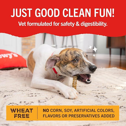 Stella & Chewy's Dental Delights with Freeze-Dried Chicken - Large Dental Treats for Dogs, Single Serve (Pack of 2)