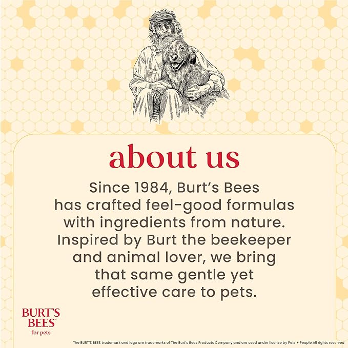 BURT'S BEES FOR PETS Dental Treats for Dogs with Manuka Honey & Ginger, Holistic, Plant-Based Oral Care, 98% Natural Origin Formulas, Peppermint Flavor, Dog Treats Small Dogs, Sz Sm 10ct, 7.4 oz