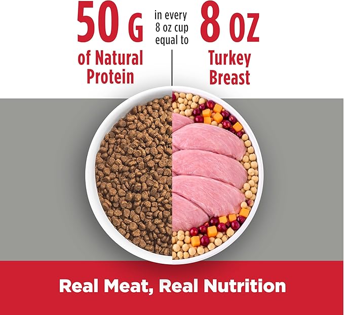 Nulo Freestyle Cat & Kitten Dry Food - Turkey & Duck Recipe, High Protein Grain Free Cat Food, Natural Kibble with Probiotics & Omega Fatty Acids, 4lb Bag