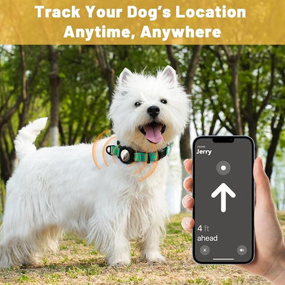 Taglory AirTag Dog Collar with Waterproof Holder for Small Dogs, Turquoise | Reflective for Night Walks & Low-Light Safety, Track Your Pup Peace of Mind, Adjustable Soft Padded, No More Dangling Tags