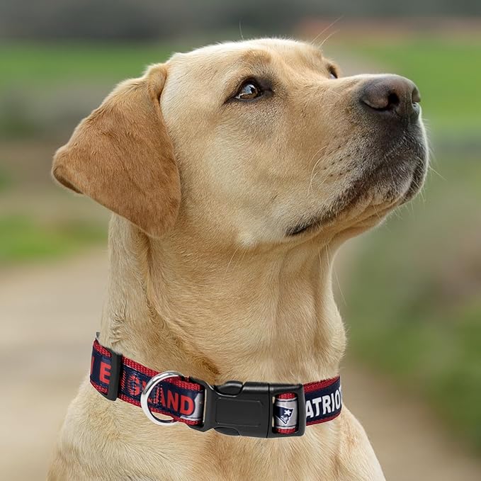 Pets First NFL New England Patriots Licensed PET COLLAR, Large - Heavy-Duty, Strong, and Durable Dog Collar. Available in 31 Football Teams and 4 Sizes