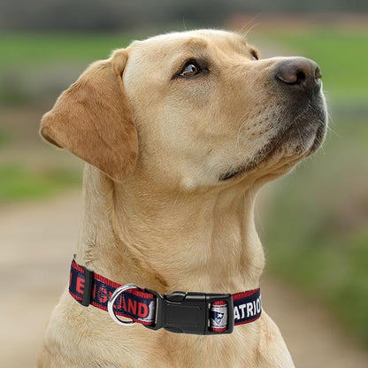 Pets First NFL New England Patriots Licensed PET COLLAR, Medium - Heavy-Duty, Strong, and Durable Dog Collar. Available in 31 Football Teams and 4 Sizes