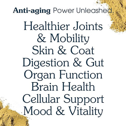 Senior Dog Powder Supplement & Food Topper – 63 Ingredients for Joint, Gut, Immune & Brain Health – Daily Longevity Multivitamin with Glucosamine, Probiotics, and Fish Oil | 30 Scoops