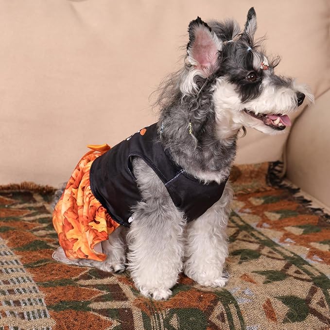 CuteBone Thanksgiving Dog Fall Dresses Costume Velvet Holiday Small Dogs Clothes Onesie Pet Apparel Girl Puppy Skirt with Bow Hair Rope CVA52M-D