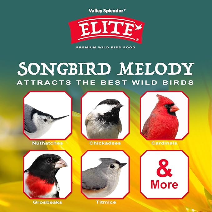 Songbird Melody