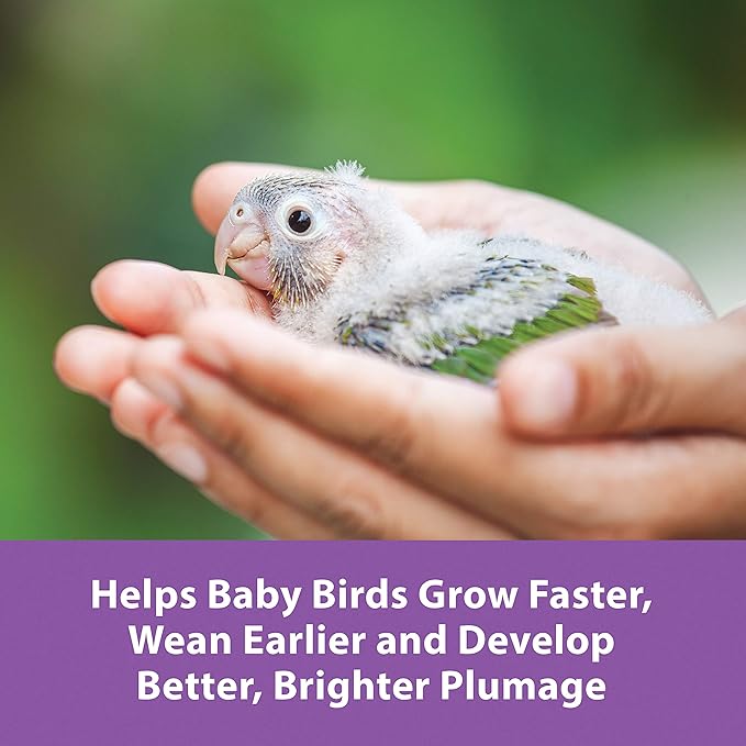 Kaytee Exact Hand Feeding Pet Bird Baby Food For Parrots, Parakeets, Lovebirds, Cockatiels, Conures, Cockatoos, and Macaws, 5 Pound