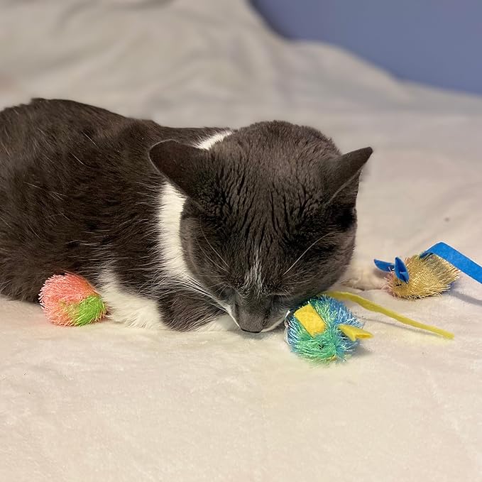 SPOT Stringy Mice & Balls - Catnip Cat Toys, Interactive, Colorful Plush Toys, Fun for Cats and Kittens to Bat and Chase, Boredom Buster - 2 Mice, 2 Balls