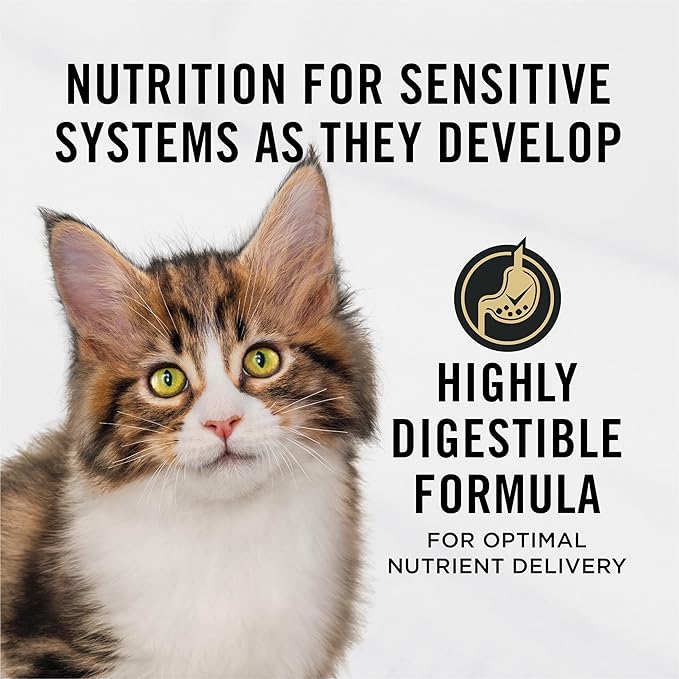 Purina Pro Plan Sensitive Skin and Stomach Kitten Food Salmon and Rice Formula 3.5 Pound (Pack of 1)