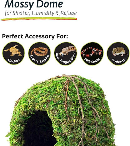 Galapagos (05366 Mossy Dome Hide, 6 in, Galápagos Green