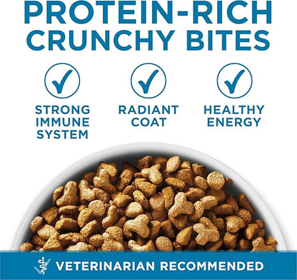 Purina ONE High Protein, Natural Senior Dry Cat Food, Indoor Advantage Senior+ - 16 lb. Bag