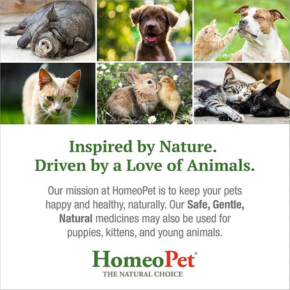 HomeoPet Skin and Itch, Safe and Natural Itch Relief for Dogs and Cats, Coat and Skin Soother for Pets, 15 Milliliters
