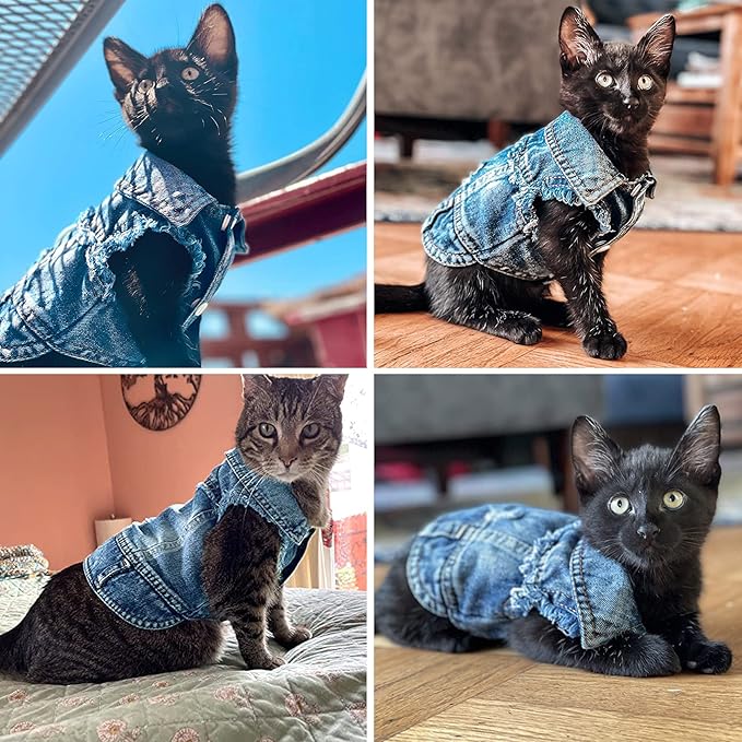 Dog Jean Jacket, Blue Denim Lapel Vest Coat T-Shirt Costume, Cute Girl Boy Puppy Clothes, Comfort and Cool Apparel, for Small Medium Dogs Cats, Machine Washable Dog Outfits (XS, Blue)