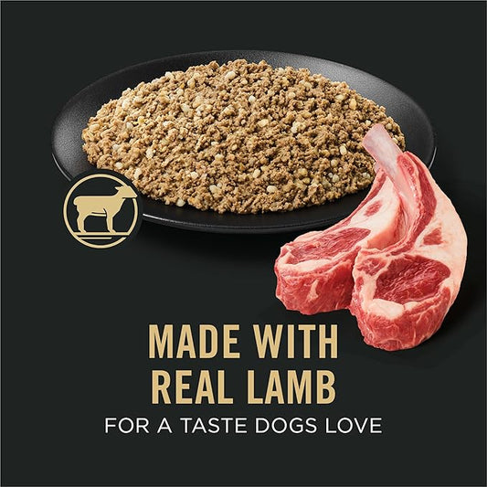 Purina Pro Plan Sensitive Skin and Stomach Dog Food Wet Classic Pate Lamb and Oat Meal Entrée - (Pack of 12) 13 oz. Cans