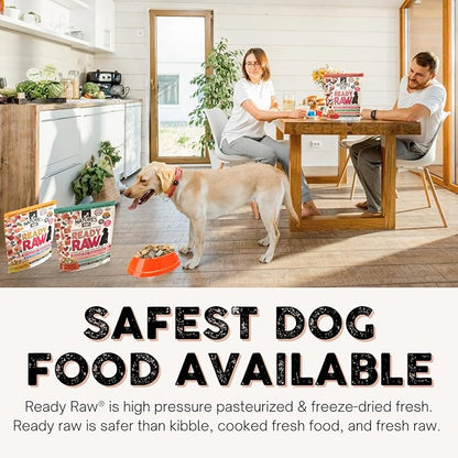 Nature's Diet® Ready Raw® Freeze-Dried Raw Dog Food, Beef, Human Grade, High Pressure Pasteurized (HPP), 96% Meat, Organ, Bone, Safe & Natural, Dry or Wet Feeding