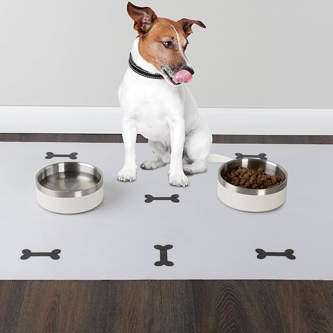 Set of 2 Stainless Steel Dog Bowls - 32oz or 4 Cups Double Wall Insulated Food and Water Bowls for Dogs and Cats, Non Slip Metal Pet Dishes for Small-Medium Pets, Puppy Essentials by PETMAKER (Cream)
