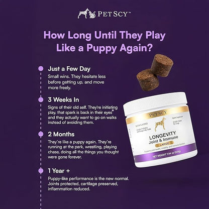Petscy Longevity Hip & Joint + Immune Support for Dogs - Large (7.5g Chew) - High Dose Glucosamine, MSM, Chondroitin, Green Lipped Mussel, Omega 3, Probiotics - 30 Chews (Large Dogs)