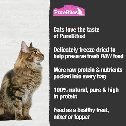 PureBites Salmon Freeze Dried Cat Treats, 0.92Oz | 26G - Value Size