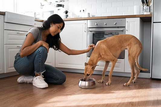 Sipworks Stainless Steel Dog Bowl – 32oz Weighted Metal Food and Water Bowls for Dogs and Cats with Non-Slip Base - Pet Bowls for All Breeds Sizes for Travel & Outdoor Play - Steel