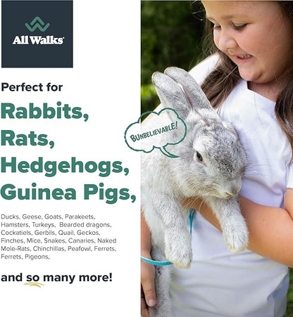 All Walks 40 Liters(4 x 10L Bags) Premium Natural Hemp Bedding, Odor Control, Low Dust, Highly Absorbent, for Rabbits, Hamsters, & Small Animals, Biodegradable, Made in USA