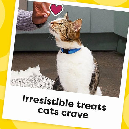 Temptations Cat Treats, Classic Crunchy and Soft Cat Treats, Creamy Dairy Flavor, 16 oz. Tub
