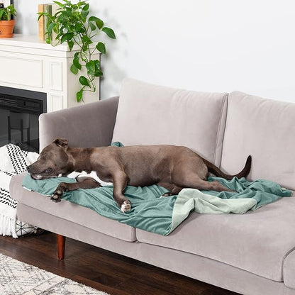 Furhaven Waterproof Throw Blanket for Dogs & Indoor Cats, Washable - Two-Tone Luxe Velvet Dog Blanket - Celadon Green, Large
