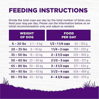 Wellness Complete Health Adult Dry Dog Food, Wholesome Grain Kibble, Natural, Chicken and Oatmeal Recipe, 38 lb Bag