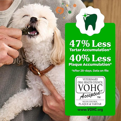 Greenies Veterinarian-Recommended, Limited-Edition Natural Dental Dog Treats Regular Size, Pumpkin Spice Flavor, 12 oz. Pack, 12 Count