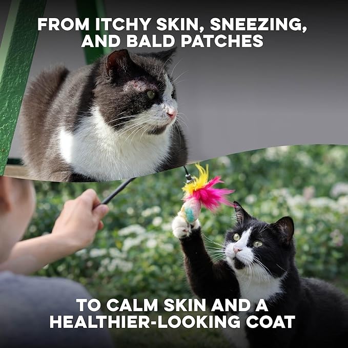 Cat Itchy Skin Relief & Hair Loss Treatment, Holistic Allergy Relief for Cats Calms Dry Skin, Dandruff & Reduces Licking, Scratching, Patchy, Matted and Shedding Fur, 400 Easy to Use Pills