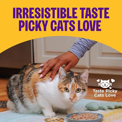 Wellness Complete Health Pate Variety Pack Adult Canned Wet Cat Food, Natural, Protein Rich, Grain Free, Chicken and Turkey Favorites, 3 oz, Pack of 12 Cans