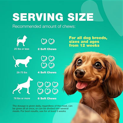 Probiotics for Dogs Gut Health, Digestion, Immunity, Yeast Balance, Itchy Skin, Allergies Support - Dog Probiotic Chews with Digestive Enzymes for Gut Flora- Soft Treats with Pumpkin and Yeast Powder