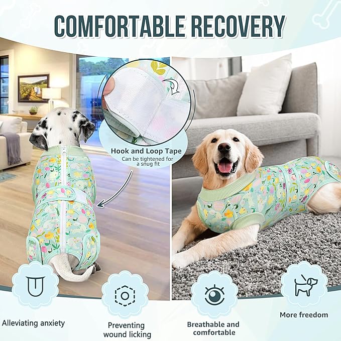 Lukovee Recovery Suit for Dogs, Zipper On Dog Surgery Suit for Female Male Dog, Onesies Bodysuit Prevent Licking Spay Abdominal Wounds Bandages E-Collar Alternative (Green, XL)